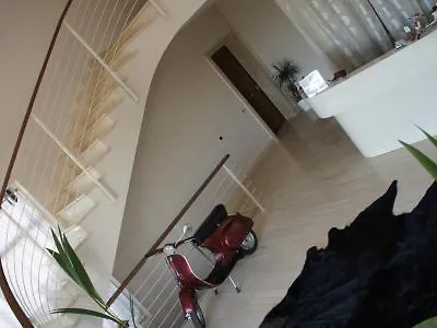 Aurelia House And Loft דירה רומא